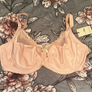 Pour Moi Lace Trimmed Bra